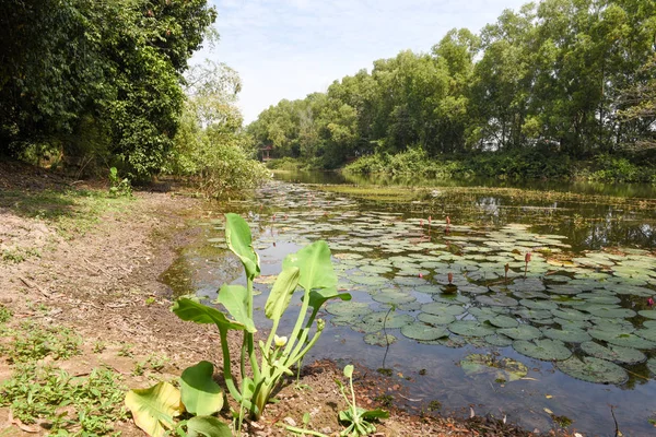 Lake van Choeung Ek doden van velden in de buurt van Phnom Penh, Cambodja — Stockfoto