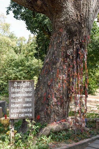 Zabijanie drzewa o zabiciu pola Choeung Ek — Zdjęcie stockowe