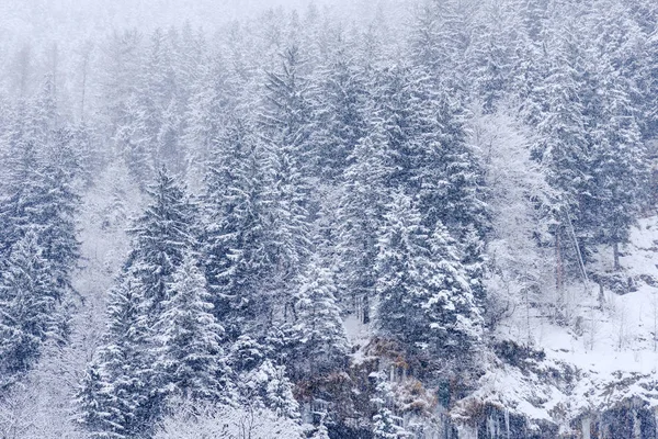 在瑞士的恩格尔伯格下雪的风景 — 图库照片