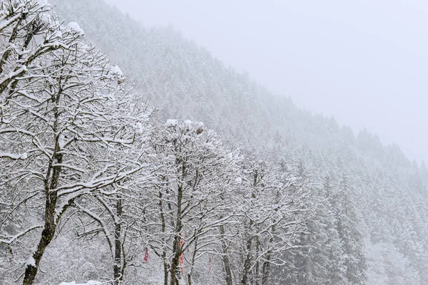 Снежный пейзаж в Энгельберге на территории Швейцарии — стоковое фото