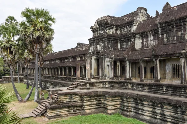 Templo Angkor Wat en Siem Reap en Camboya . — Foto de Stock