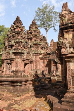 Banteay Srei Tapınağı'nda Siem Reap, Kamboçya.
