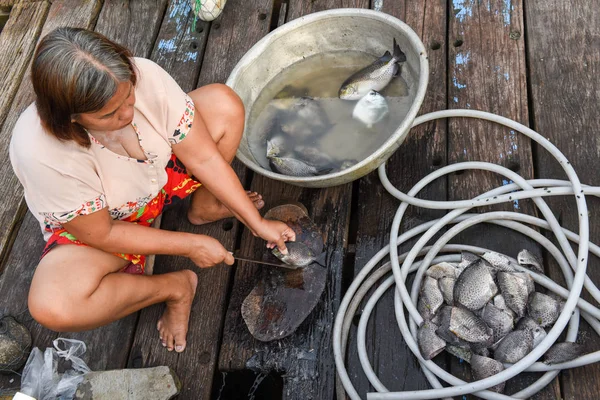 Mujer limpiando los peces en la isla de Koh Kood en Tailandia — Foto de Stock