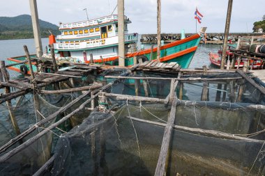 Fisherboat Ao Yai Koh Kood Adası Tayland