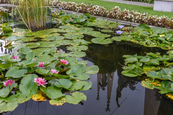 Der garten der insel bella am lago maggiore, italien — Stockfoto