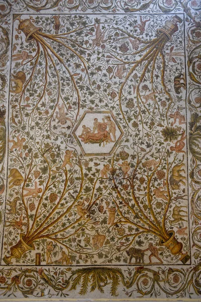 Roman natural stone tile mosaics of the museum at El Jem in Tuni — Stock Photo, Image