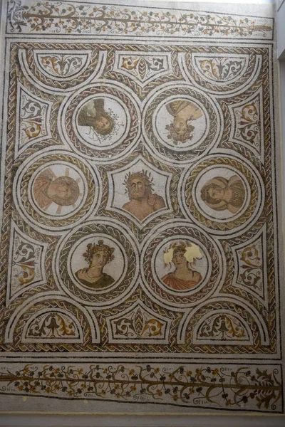 Mosaici romani in pietra naturale del museo di El Jem in Tuni — Foto Stock