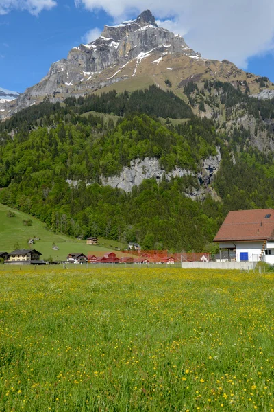 Сельский пейзаж Энгельберга в швейцарских Альпах — стоковое фото