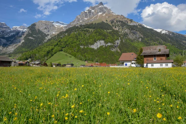 Rural landscape of Engelberg in the Swiss alps — Stock Photo, Image