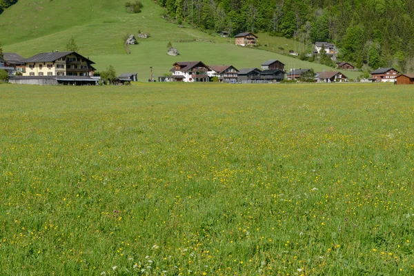 Paisaje rural de Engelberg en los Alpes suizos —  Fotos de Stock