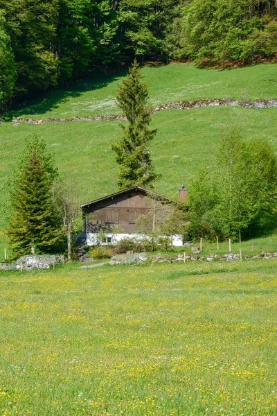 Paysage rural avec chalet traditionnel à Engelberg dans le Swis — Photo