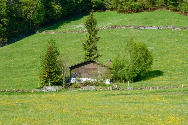 Paesaggio rurale con chalet tradizionale a Engelberg in Svizzera — Foto Stock