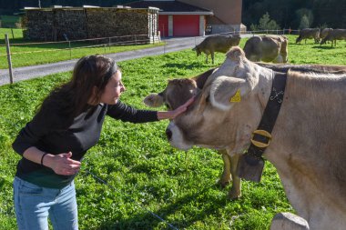 Engelberg 'de İsviçre Alplerinde bir ineğin kafasını okşayan kadın.