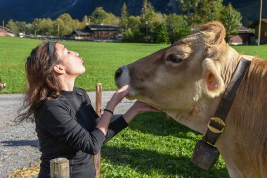 Engelberg 'de İsviçre Alplerinde bir ineğin kafasını okşayan kadın.