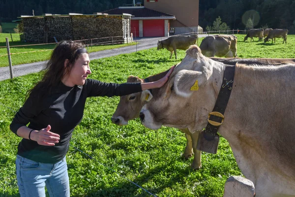 Donna che accarezza la testa di una mucca a Engelberg sulle Alpi svizzere — Foto Stock
