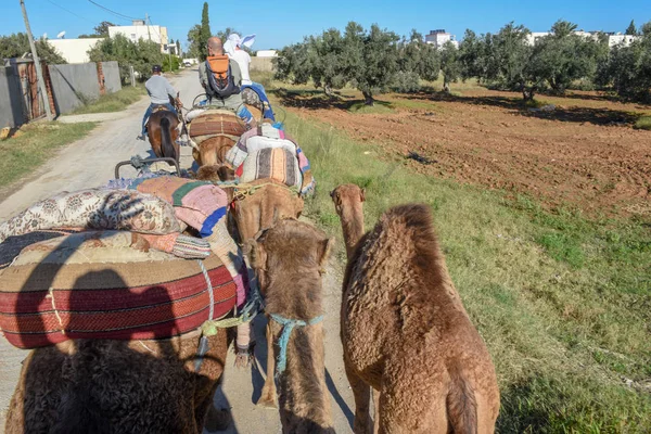 Tourists on a camel caravan at Sousse — Stock Photo, Image