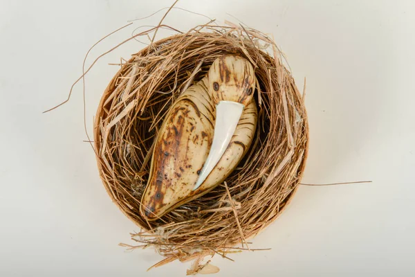 Bird sculpture in a nest — Stock Photo, Image