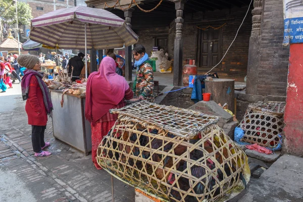 Street kyckling säljare på Patan nära Katmandu på Nepal — Stockfoto