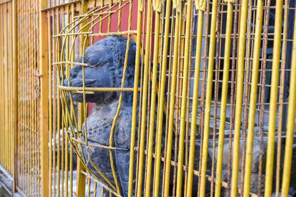 Lion-dog in a cage of a temple at Patan near Kathmandu in Nepal