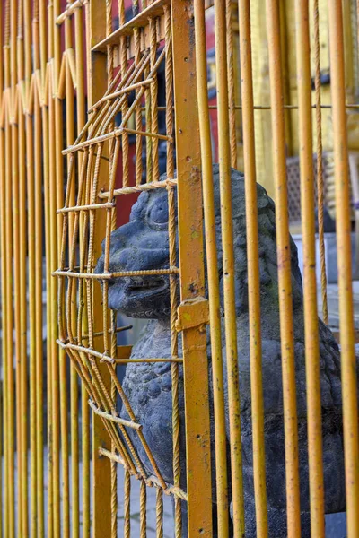 Lion-dog in a cage of a temple at Patan near Kathmandu in Nepal — Stock Photo, Image