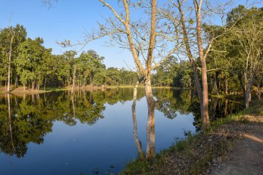 Nepal 'deki Chitwan Ulusal Parkı' nda güzel sessiz bir göl.