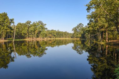 Nepal 'deki Chitwan Ulusal Parkı' nda güzel sessiz bir göl.
