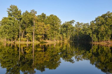 Nepal 'deki Chitwan Ulusal Parkı' nda güzel sessiz bir göl.