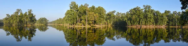 Bellissimo Lago Tranquillo Chitwan National Park Nepal — Foto Stock