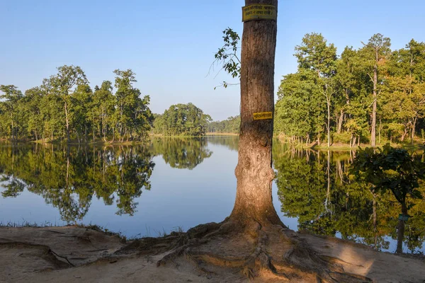 Prachtig Rustig Meer Bij Chitwan National Park Nepal — Stockfoto