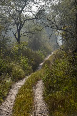 Nepal 'deki Chitwan Ulusal Parkı' ndaki kirli yol.