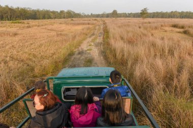 Sauraha, Nepal - 20 January 2020: people on a jeep safari at Chitwan national park in Nepal