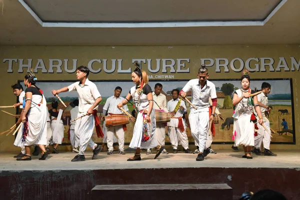 Sauraha Nepal January 2020 Traditional Tharu Dance Sauraha Nepal — Stock Photo, Image