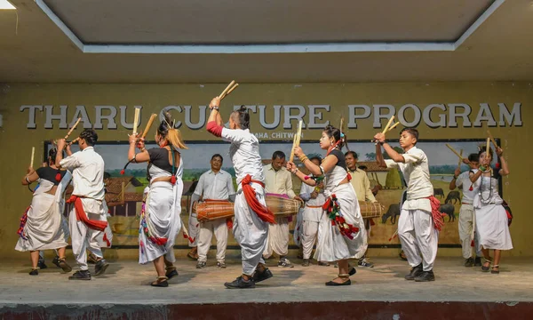 Sauraha Nepal January 2020 Traditional Tharu Dance Sauraha Nepal — Stock Photo, Image