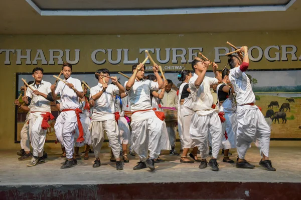 Sauraha Nepal January 2020 Traditional Tharu Dance Sauraha Nepal — Stock Photo, Image