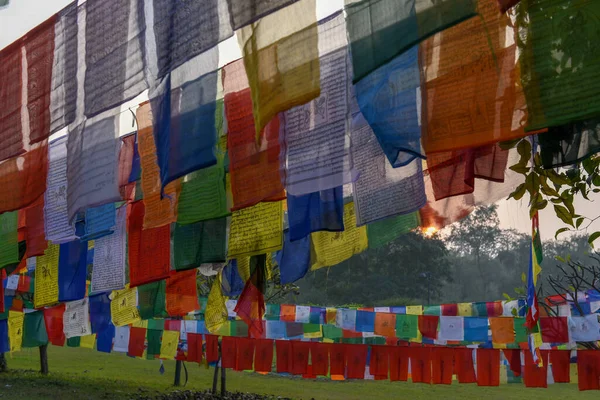 Banderas Oración Lugar Nacimiento Del Templo Maya Devi Buddha Lumbini — Foto de Stock