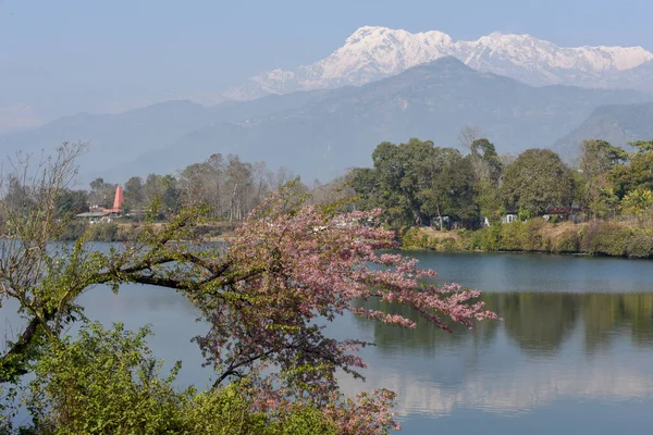 Machapuchare Annapurna Tartományban Phewa Pokhara Nepálban — Stock Fotó