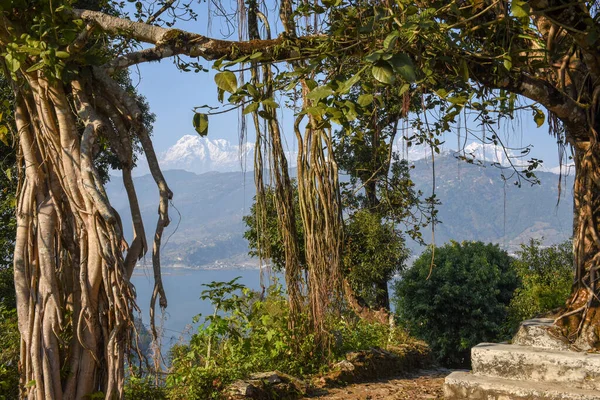 Vista Arial Ciudad Pokhara Lago Phewa Cordillera Del Himalaya Nepal —  Fotos de Stock