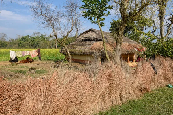 Traditionellt Hus Landet Chitwan Nepal — Stockfoto