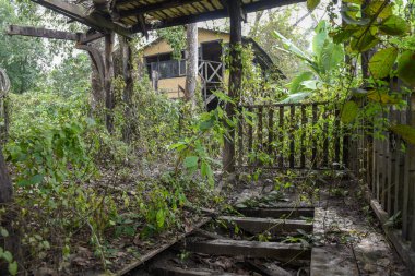 Nepal 'deki Chitwan Ulusal Parkı' nda terk edilmiş eski bir turizm beldesi.