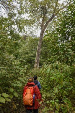 Chitwan, Nepal - 21 Ocak 2020: Nepal 'deki Chitwan Ulusal Parkı' nda safariye çıkan turistler