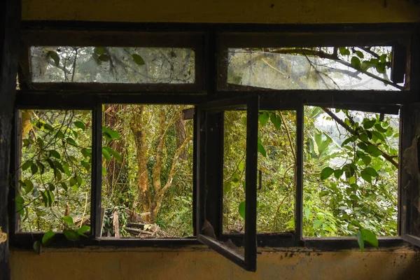 Alte Verlassene Touristenanlage Dschungel Des Chitwan Nationalparks Nepal — Stockfoto
