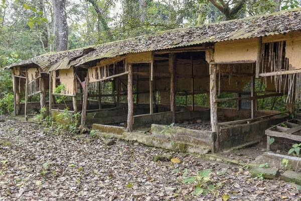 Nepal Deki Chitwan Ulusal Parkı Nda Terk Edilmiş Eski Bir — Stok fotoğraf