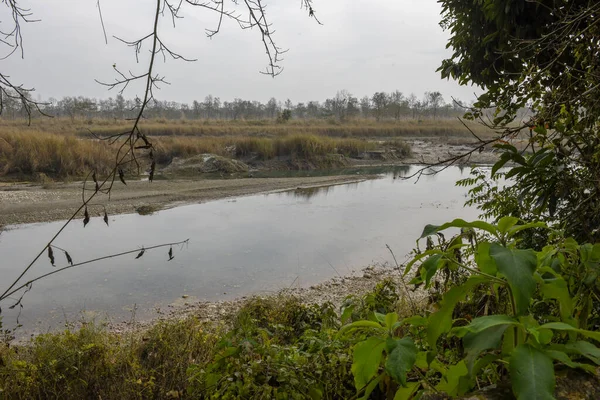 尼泊尔Chitwan国家公园的Rapti河 — 图库照片