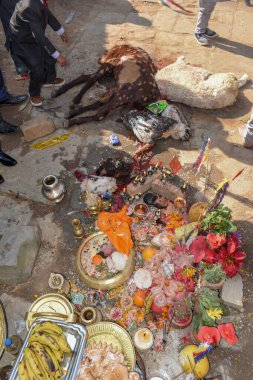 Bhaktapur, Nepal - 27 Ocak 2020: Nepal 'deki Bhaktapur' da Hindu kurban edenler