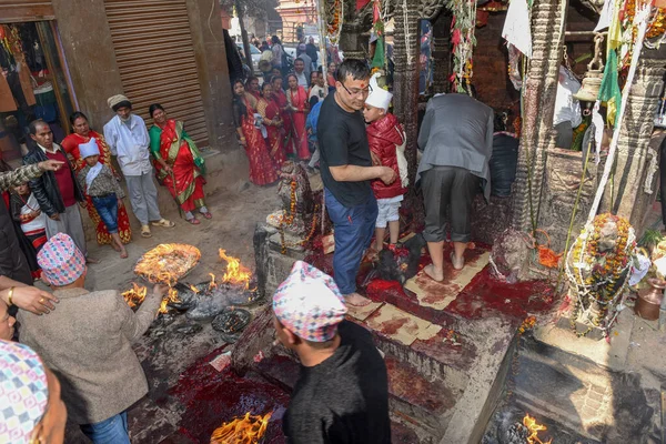 Bhaktapur Νεπάλ Ιανουαρίου 2020 Άνθρωποι Θυσία Ινδουιστών Στο Bhaktapur Του — Φωτογραφία Αρχείου