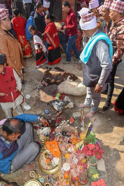 Бхактапур Непал Січня 2020 Люди Жертвоприношення Індусів Бхактапурі Непал — стокове фото