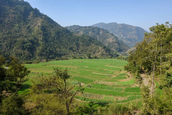 Campo Riso Sulla Gola Tinau Vista Dall Autostrada Siddharta Nepal — Foto Stock