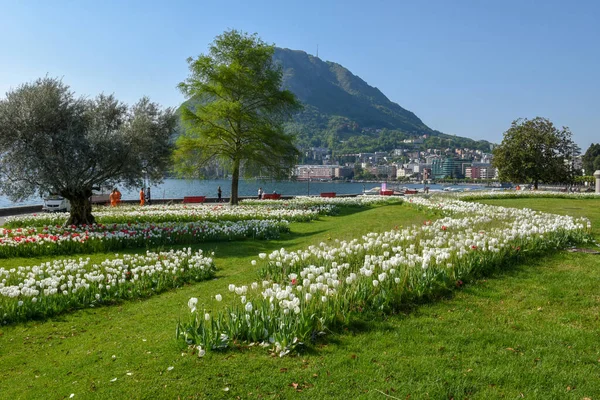 瑞士卢加诺 2020年4月23日 瑞士卢加诺湖畔的公共花园 — 图库照片