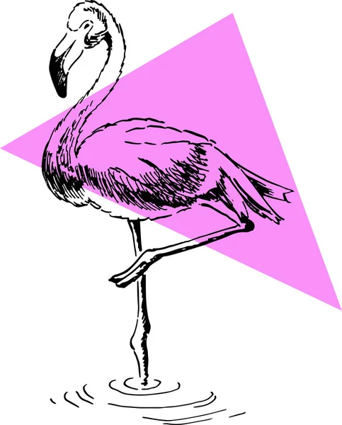 Flamingotintenskizze handgezeichnet und rosa Dreieck — Stockvektor