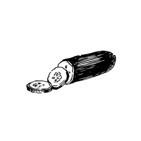 Свежий Огурец Ломтики Ручной Чернильный Набросок Векторная Иллюстрация Изолированные — стоковый вектор
